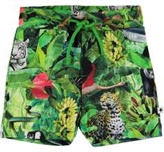 Simroy Shorts